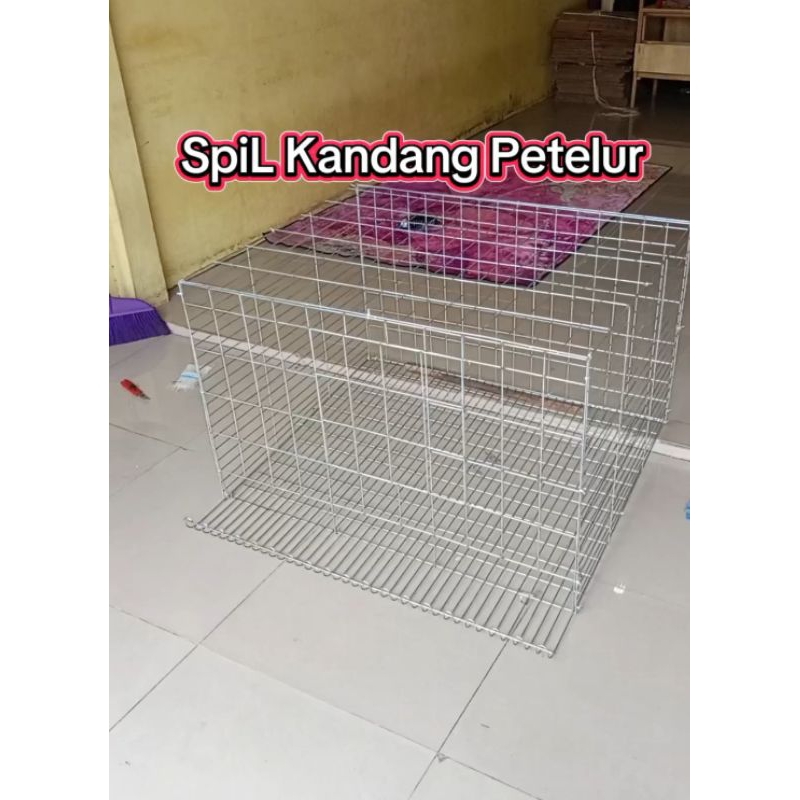 1 Set kandang koloni ayam petelur galvanis