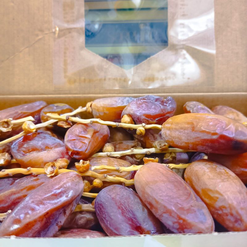 

KURMA TUNIS TANGKAI SAPPHIRE
