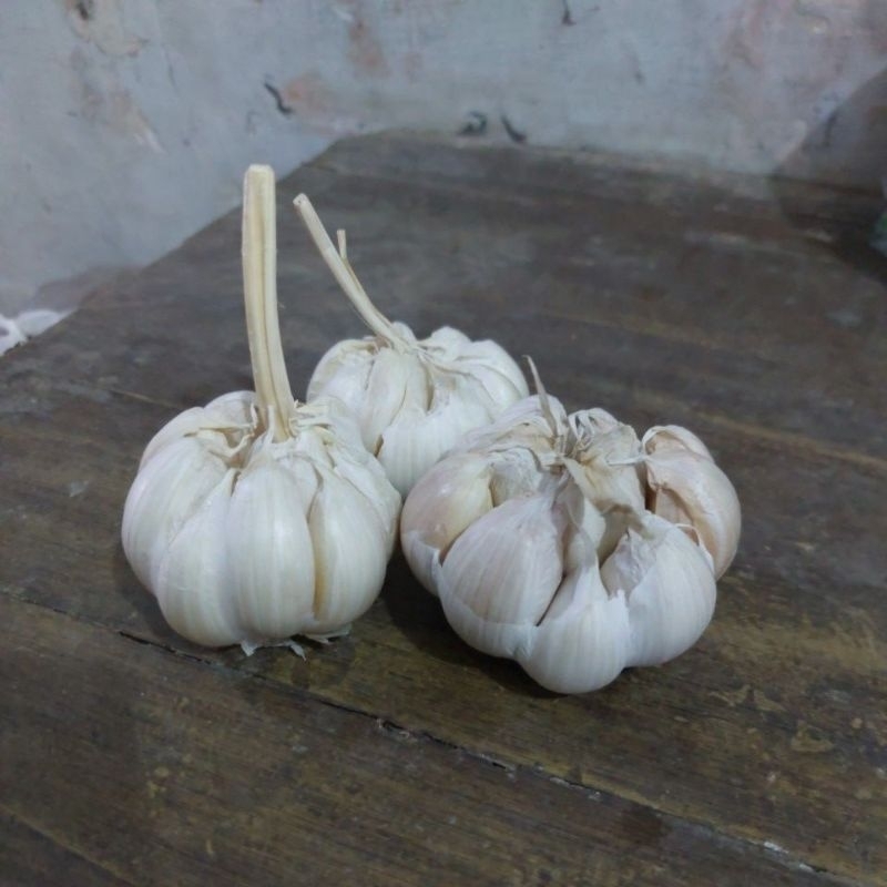 

Bawang putih sico bersih kwalitas besar,kering harga terjangkau
