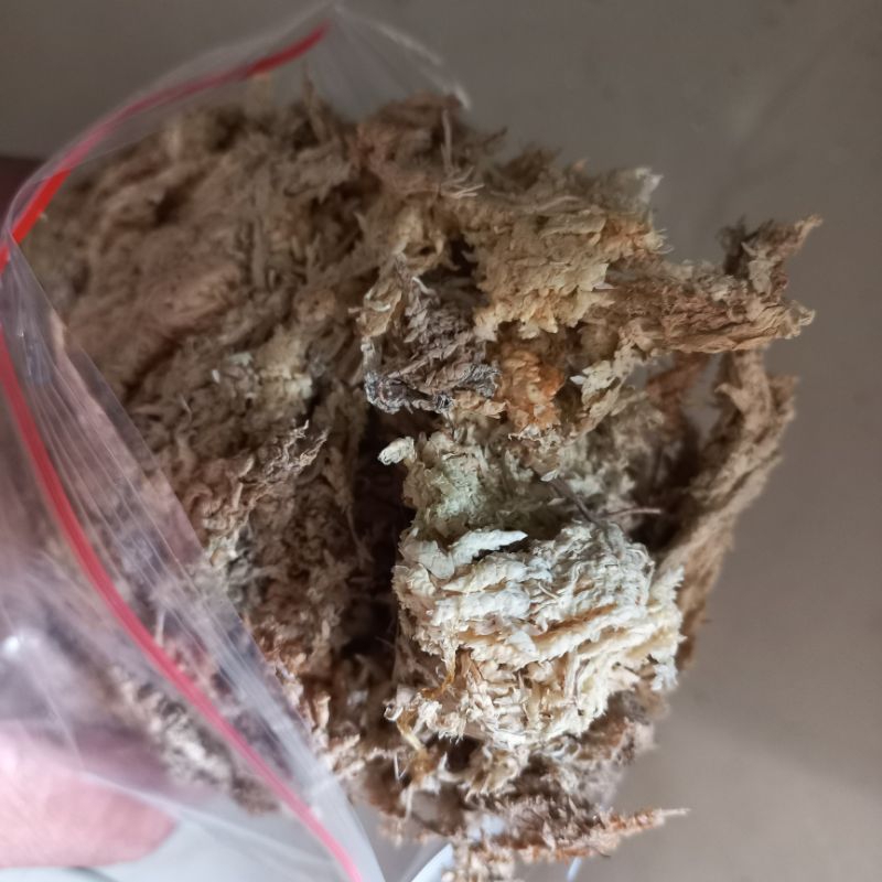 MEDIA TANAM  ANGGREK SPAGNUM MOSS PUTIH LOKAL