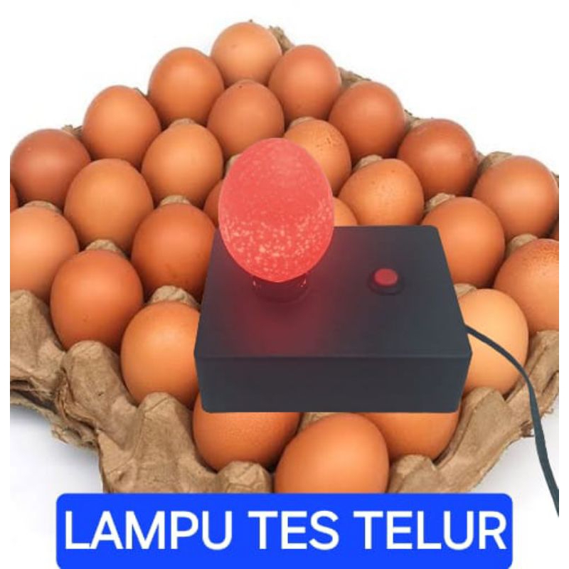 Lampu tes telur semua jenis telur