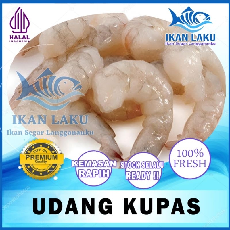 

UDANG KUPAS PREMIUM FRESH TERMURAH BERGARANSI IKAN LAKU IKAN SEGAR IKAN BEKU