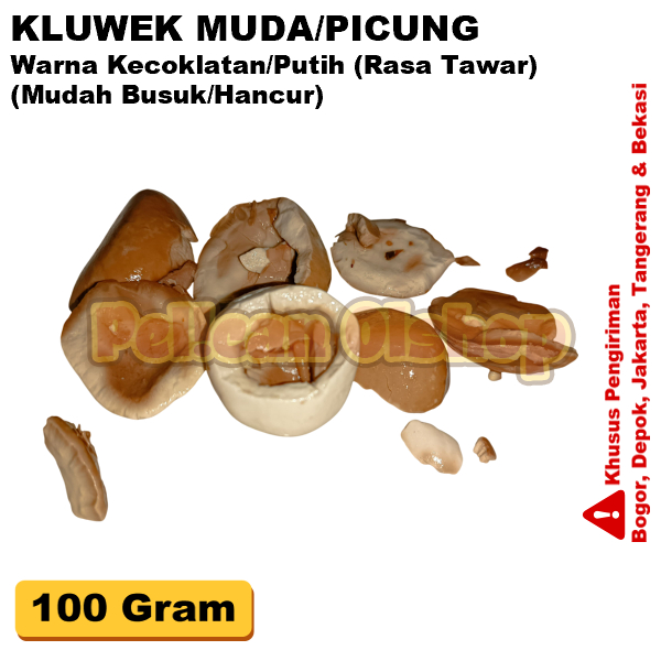 

Picung 100 Gram Untuk Di Tumis Klewek Keluak Kepayang Muda Putih Coklat
