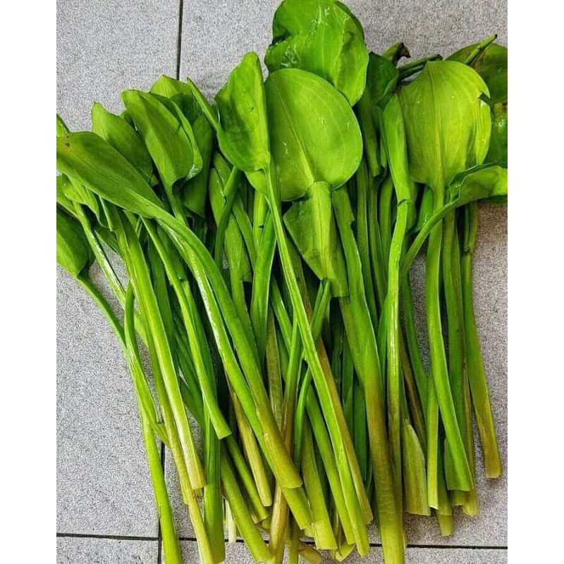 

sayur gendot/genjer enak dan fresh di ambil bila ada orderan masuk 500gr