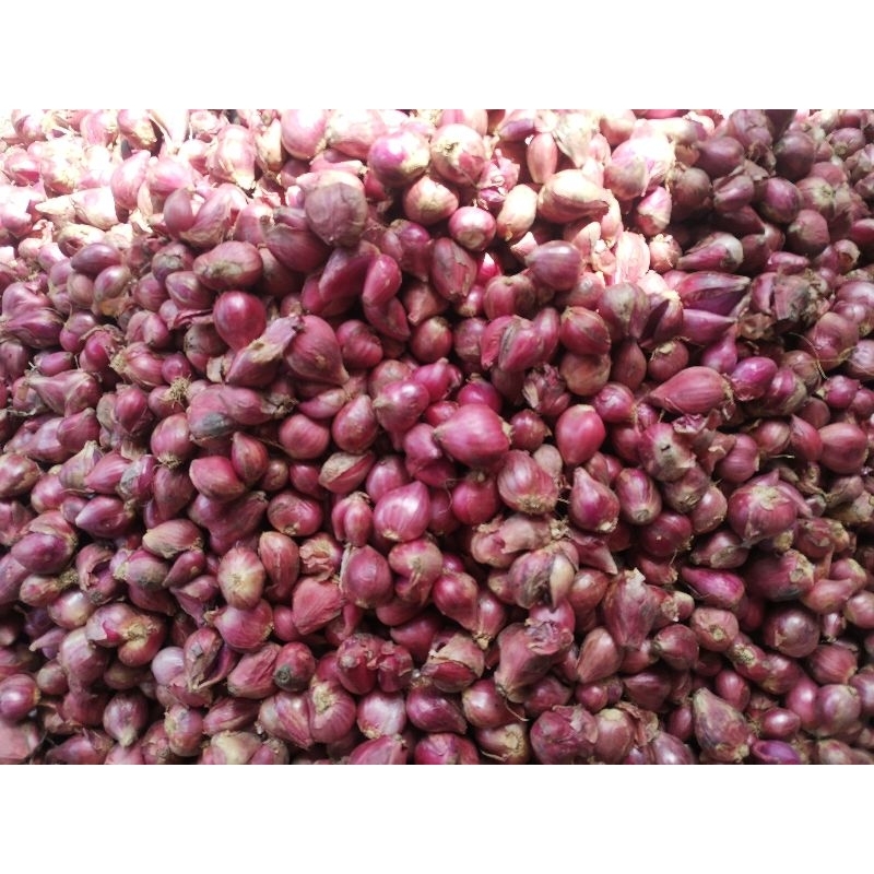 

BAWANG MERAH KECIL (MAYOR) Spices Bumbu Masakan Pedas Rempah-Rempah