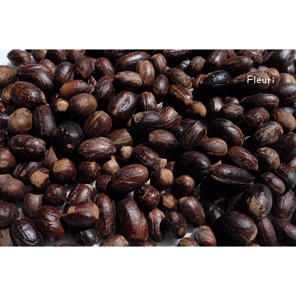 

FLEURI | PALA KOCAK PANJANG | PALA PANJANG | BIJI PALA | REMPAH PALA | PALA UTUH | PALA BIJI | BUMBU MASAKAN | Bumbu dapur | Rempah | suplier pala
