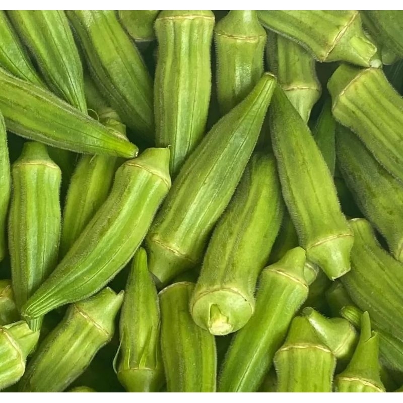 

Kacang Okra