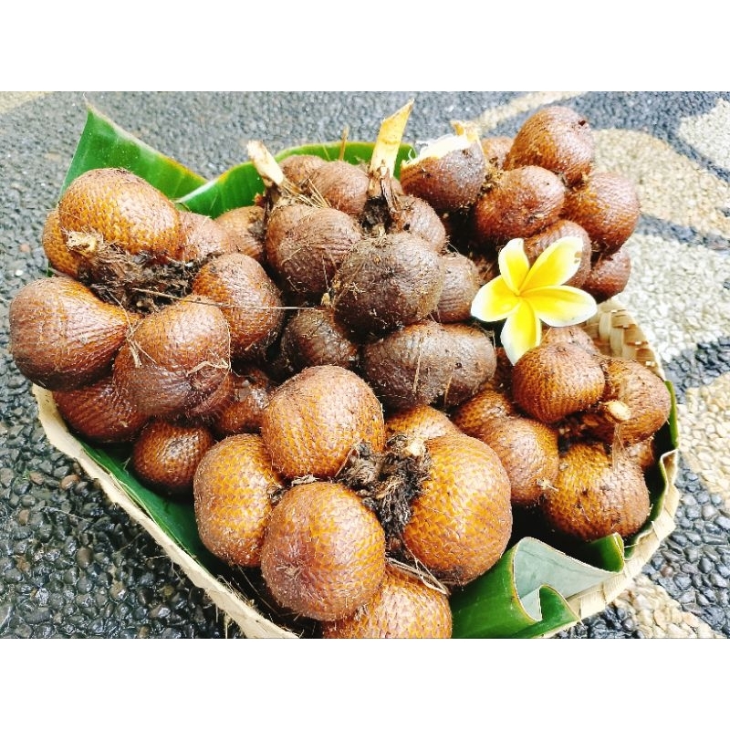 

Salak Bali