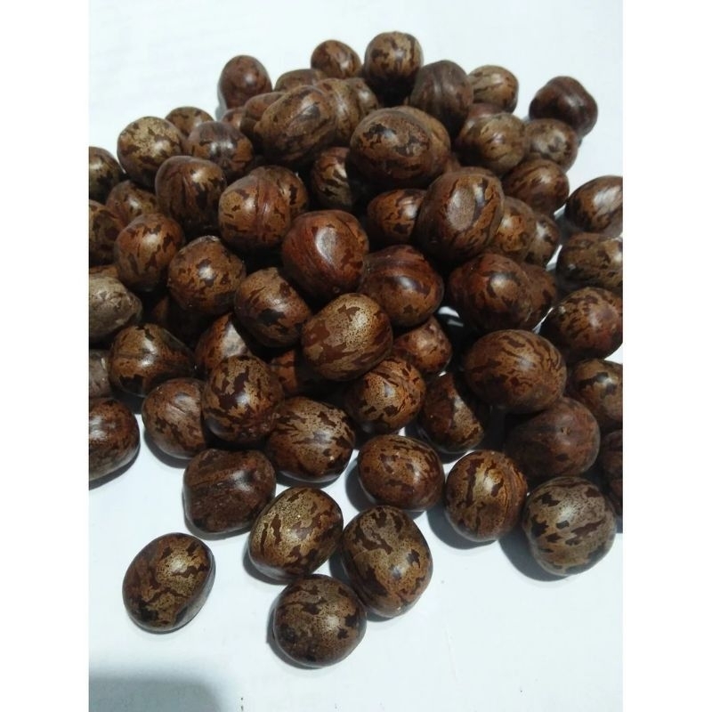 

Biji karet (buah pohon karet)