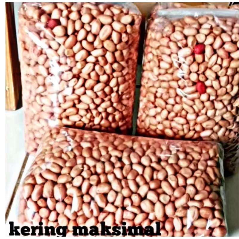 

1KG BENIH KACANG TANAH SUPER ~petanihael~