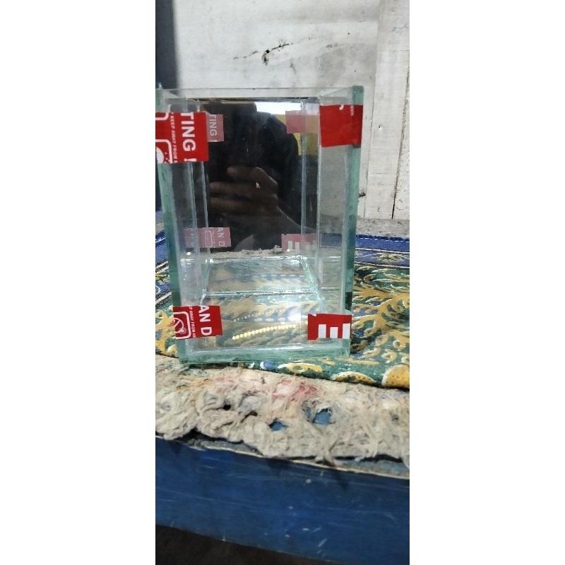soliter cupang 10x10x15 kaca cermin belakang