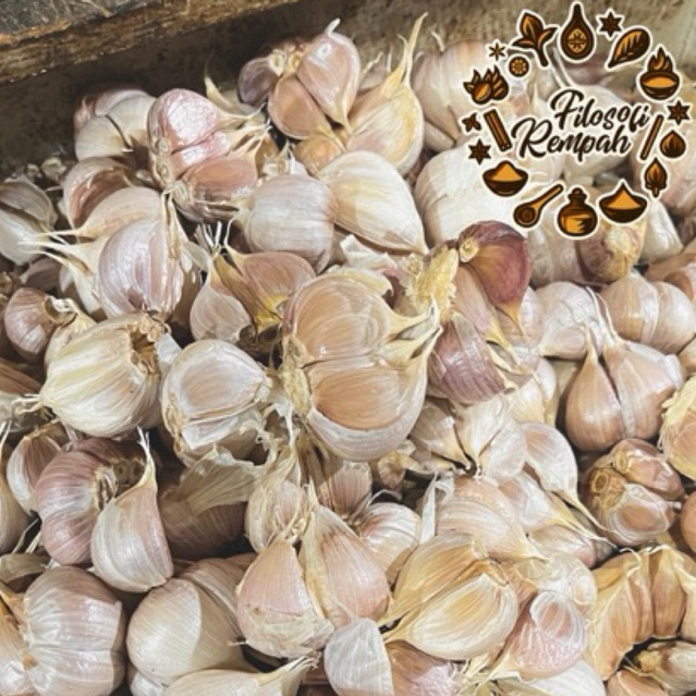 

Bawang Putih Kating Super Premium