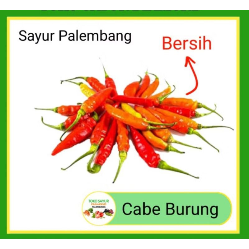 

Cabe Burung - Abba Sayur