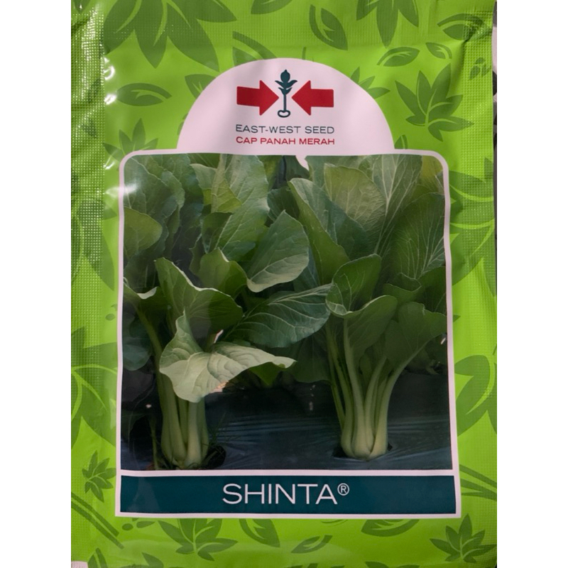 

Shinta-sawi hijau isi 25gr