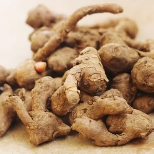

Temu Kunci Segar 1000g ,Penyedap rasa masakan/obat herbal alami