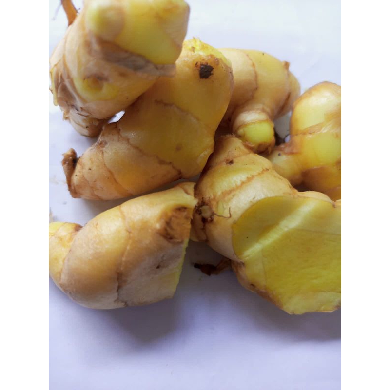 

Kunyit putih segar | kunyit putih sagar 1 kg