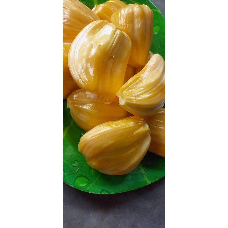 NANGKA KUPAS 1KG