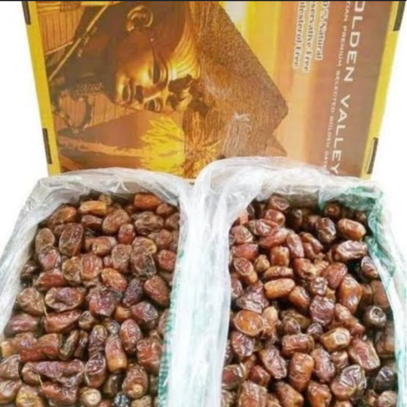 

KURMA GOLDEN MESIR