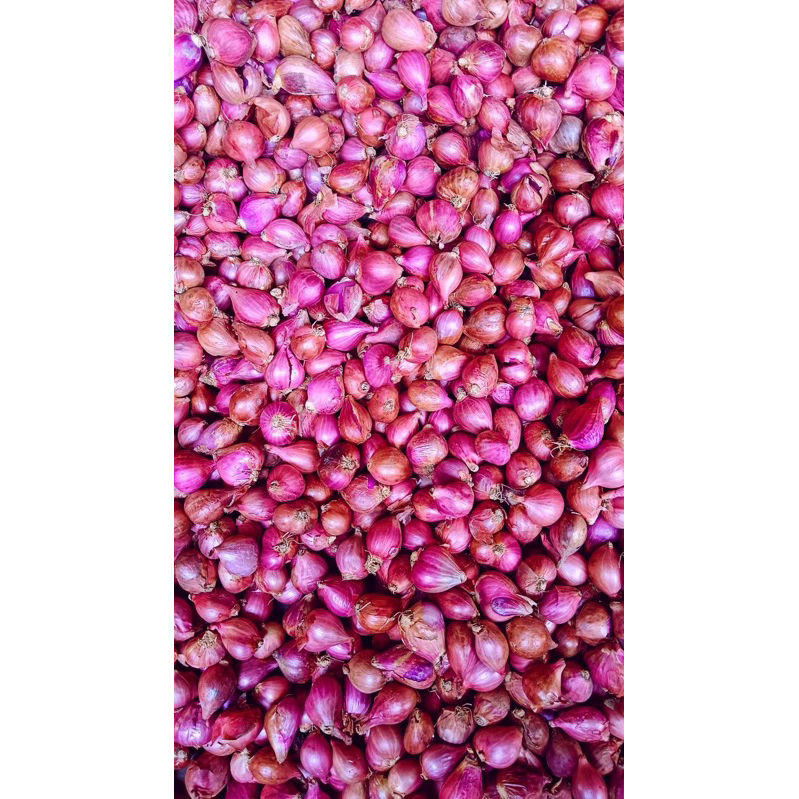 

bawang merah lokal 250g 500g 1kg