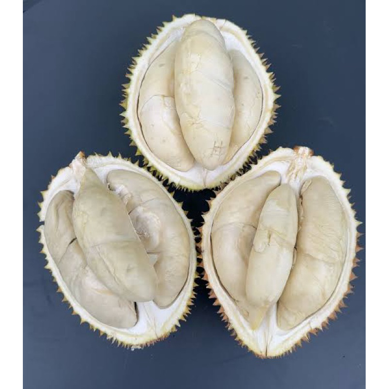 

DURIAN LOKAL BORNEO BESAR 100 RBU 3 BIJI