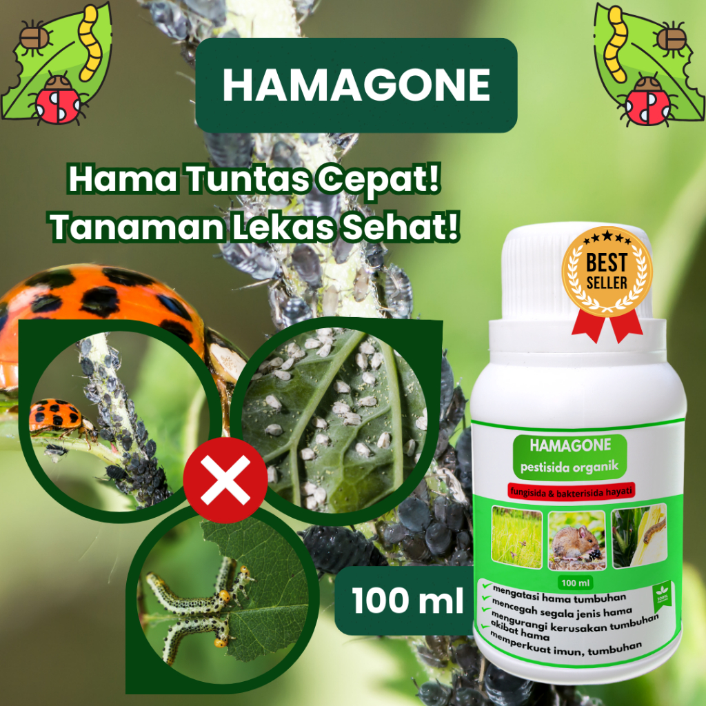 OBAT HAMA ULAT PADI SUNDEP BELUK 100 ML HAMAGONE - Obat Hama Padi, Atasi Hama Ulat Sundep, Wereng,