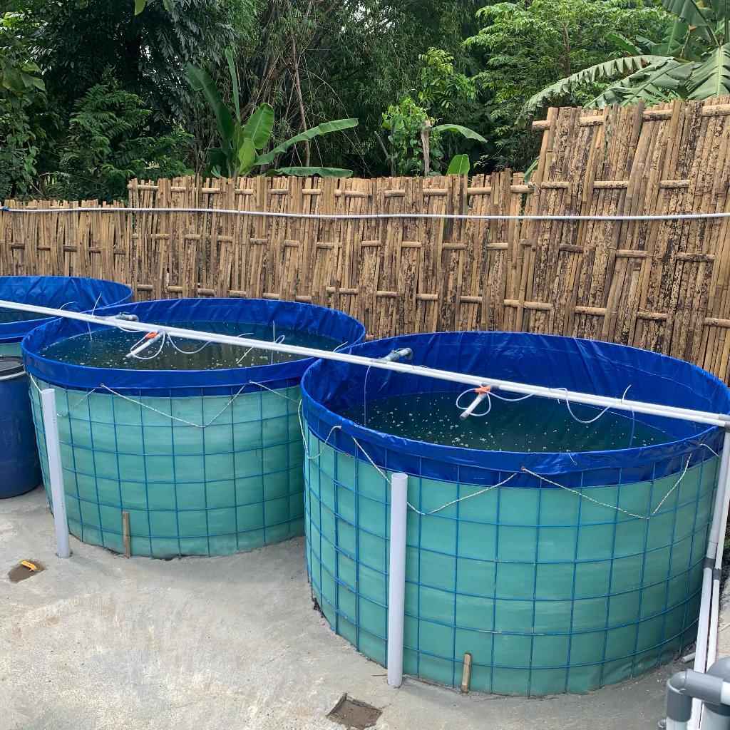 Rangka Besi Rangka Wermesh Untuk Kolam Terpal Bulat Kolam Bioflok Diameter 1,2m Tinggi 1m Besi Tebal