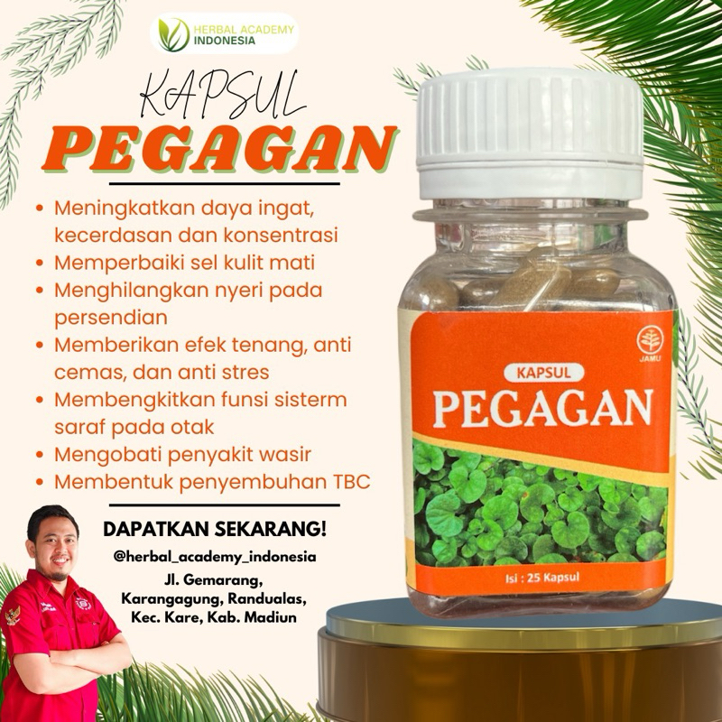 OBAT/KAPSUL PEGAGAN 100% ALAMI - Untuk meningkatkan daya ingat, kecerdasan, dan konsentrasi, Memperb