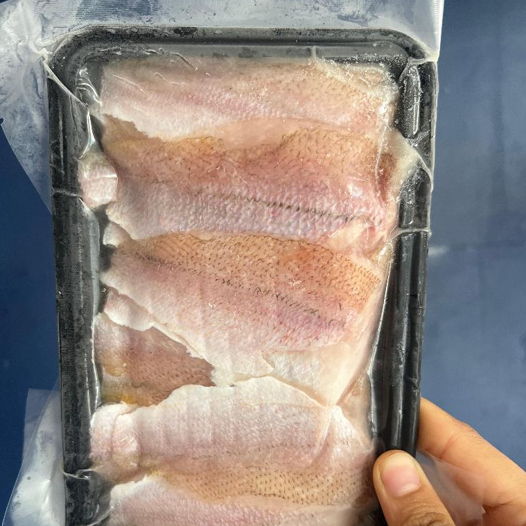 Ikan Ekor Kuning Fillet Segar