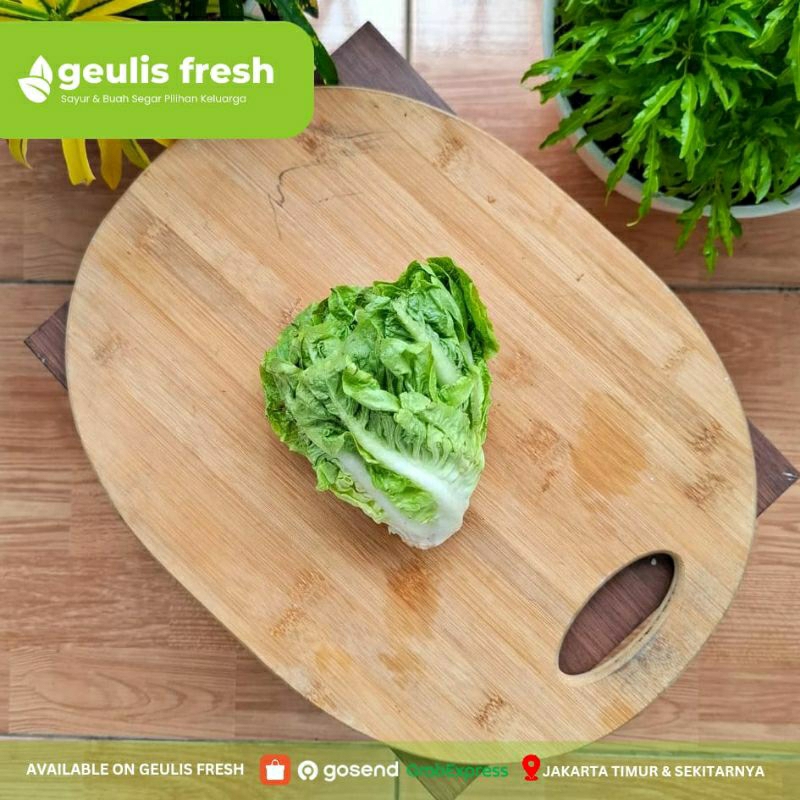 

Selada Romaine /2pcs | Sayur Salad Segar Jakarta Timur Geulis Fresh