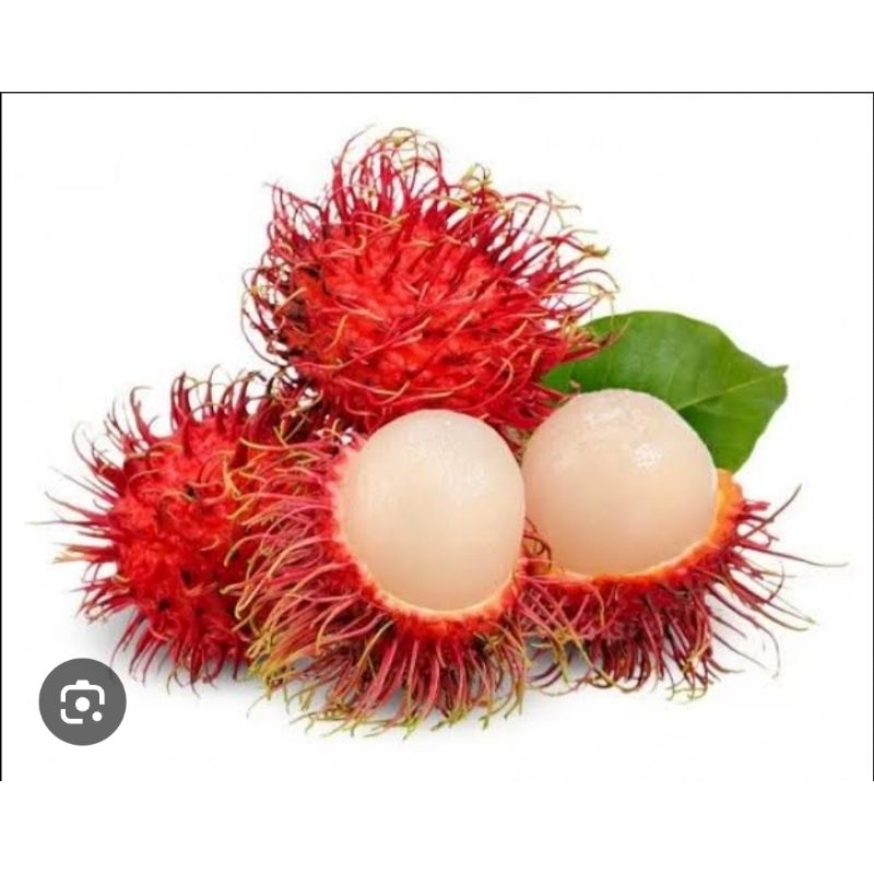 

rambutan