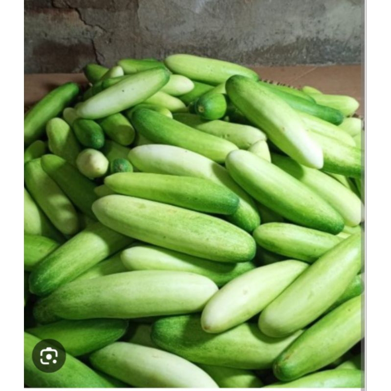 

Sayur Timun Lalap Segar 1kg