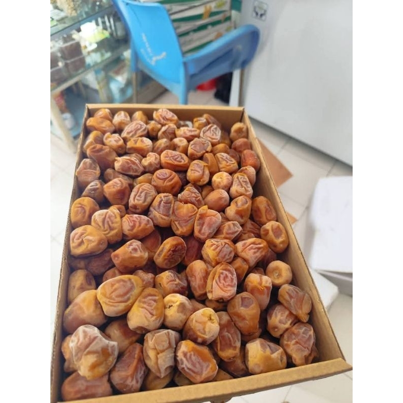 

kurma sukari al qasim