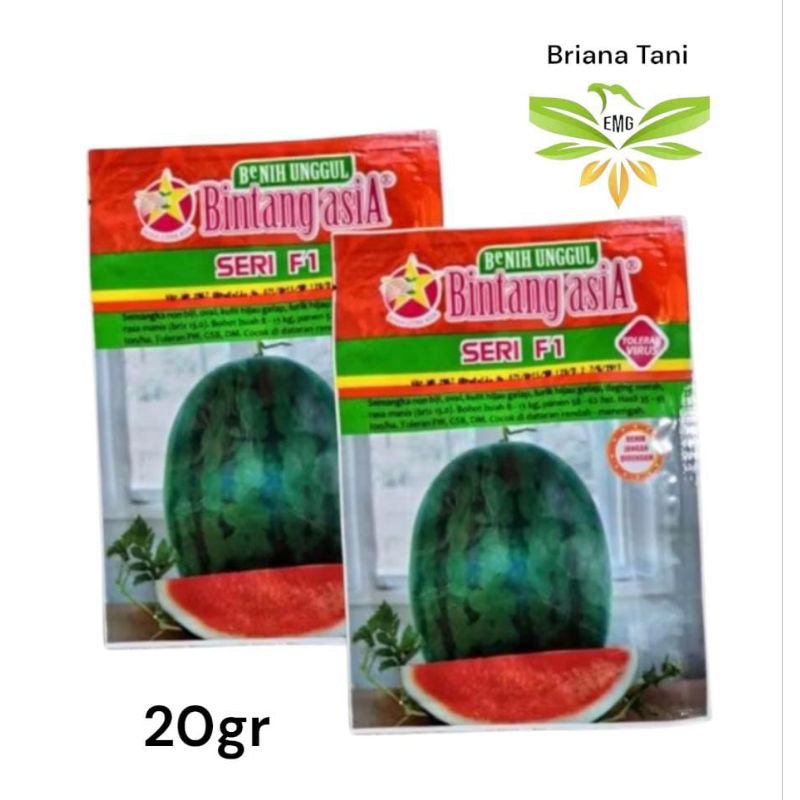 Seri F1 20gr Benih Semangka Non Biji Bintang Asia 100% Original Amara