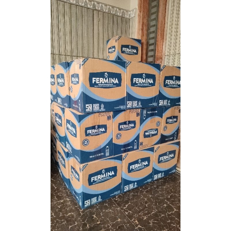 

Fermina MF900 (1Dus)