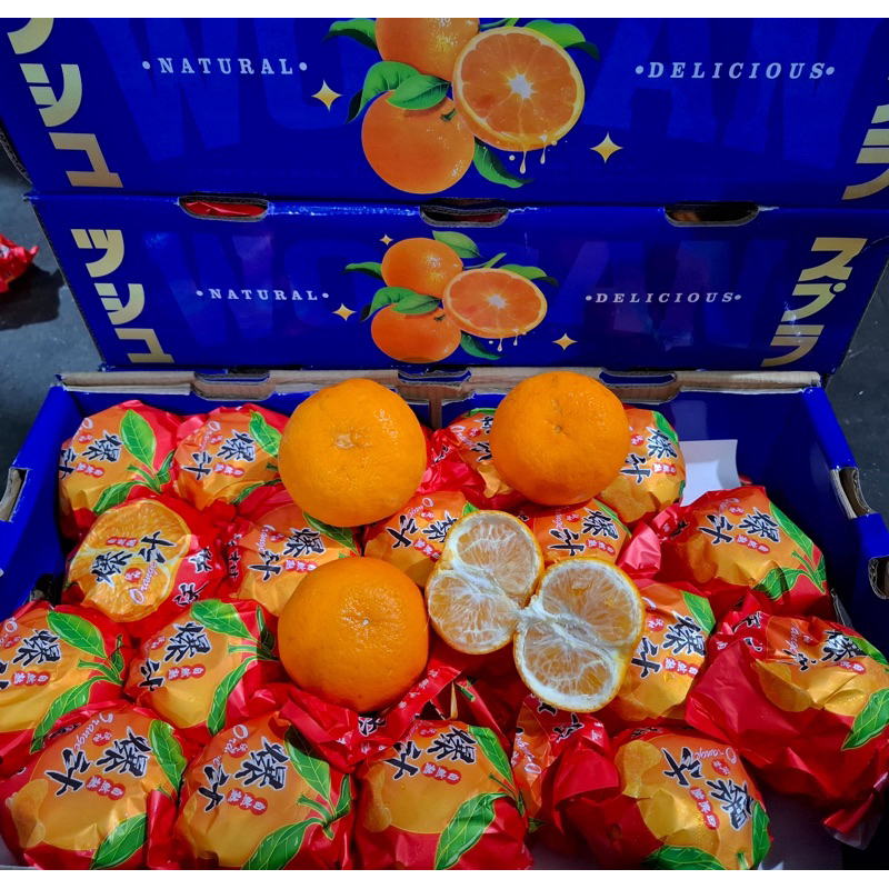 

JERUK WOKAM DUS 8KG MANIS UK XL DUS