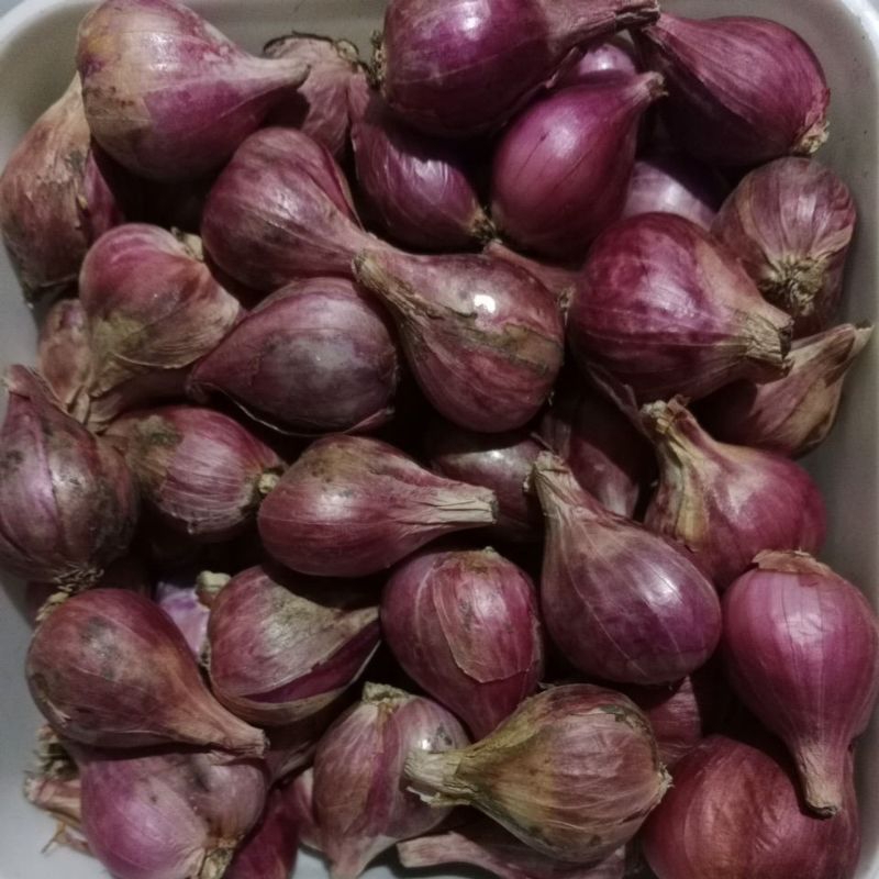 

bawang merah 1 kg