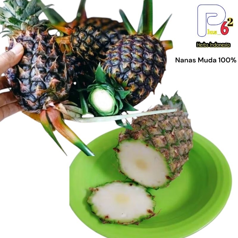 

Buah Nanas Muda Segar-Nanas Herbs Pelancar H4id Organik