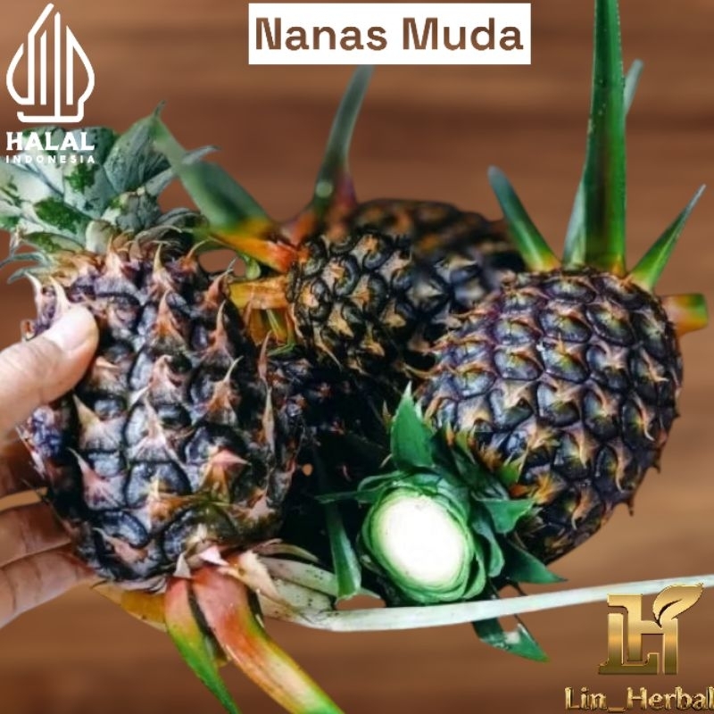

Buah Nanas Muda Nanas Hutan-Nanas Terampuh Sudah izin PIRT