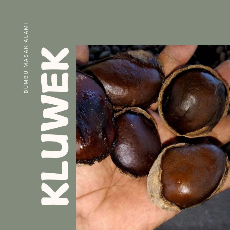

kluwek bumbu rawon 1 kg