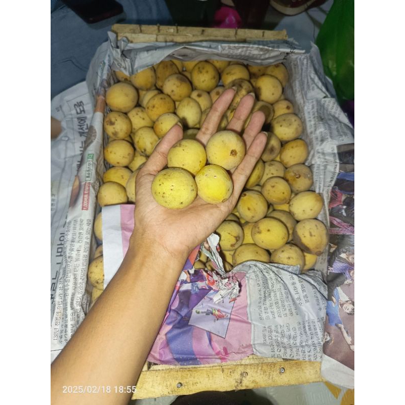 

Duku Purbalingga Manis