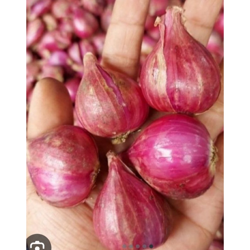 

Bawang Merah Besar Segar ½kg - 500gram