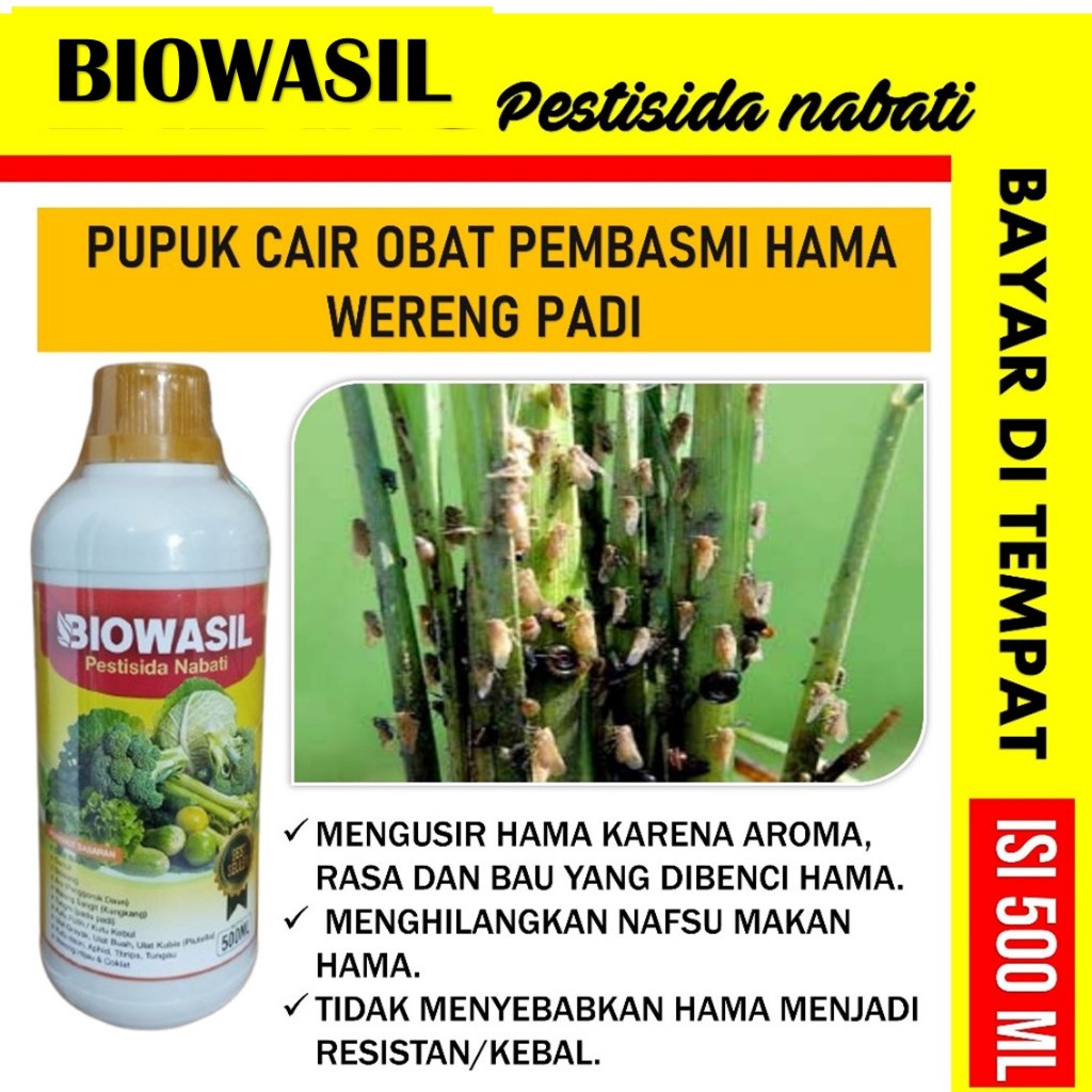 Promo BIOWASIL  500ml Pestisida Organik Obat Hama Wereng Coklat Pada Tanaman Padi - Obat semua hama 