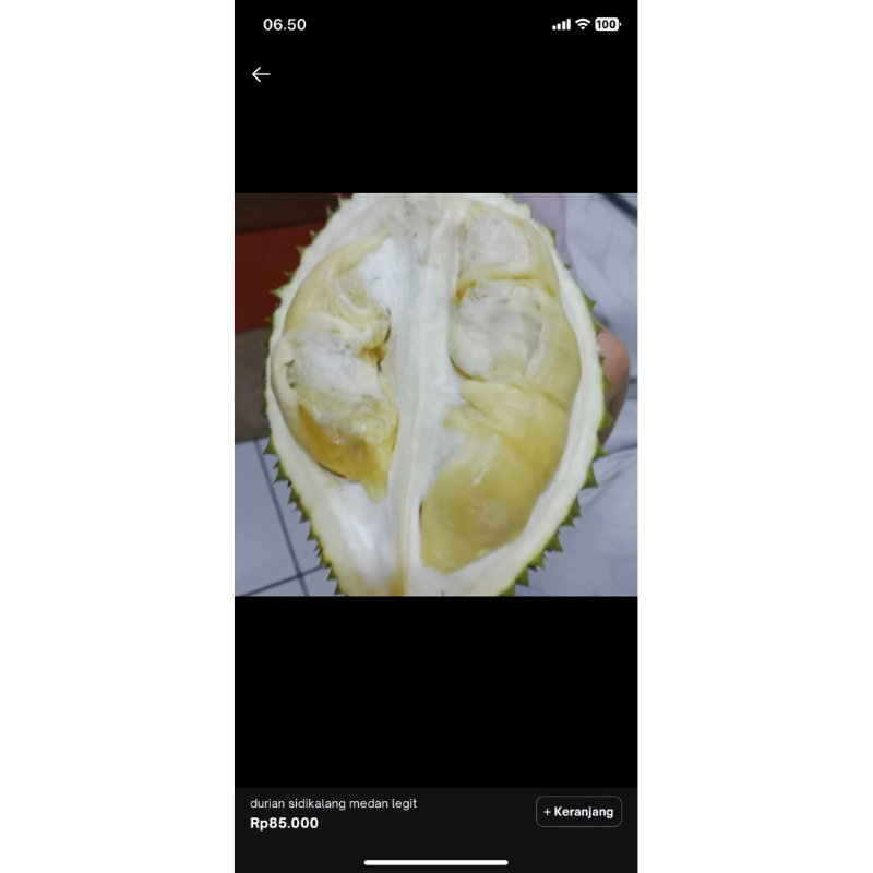 

durian sindikalang