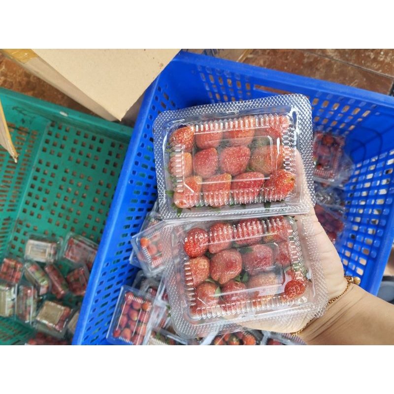 

Strawberry Mini 7mika Fresh