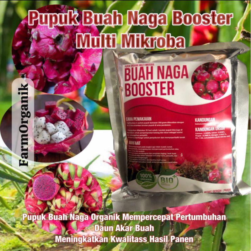 Pupuk Organik Booster Buah Naga Perangsang Buah Serbuk Terbaik Ampuh Agar Cepat Berbuah Lebat adalah