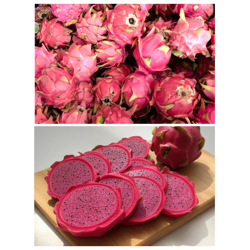 

Bogor Buah Naga Merah Papapangan
