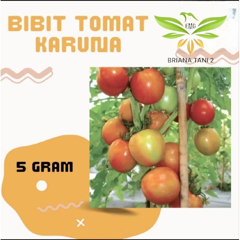 REPACK 5gr Benih Tomat Sayur KARUNA Rasa Manis Bibit Sayuran Servo Marvel