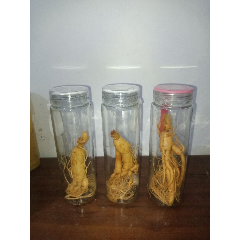 

(COD) gingseng korea dalam botol tanpa racikan