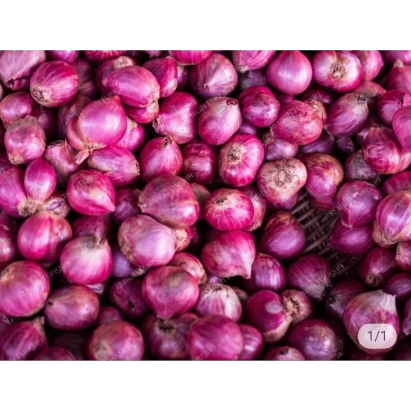 

bawang merah besar Probolinggo 1kg