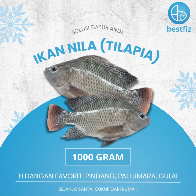 

Ikan Nila